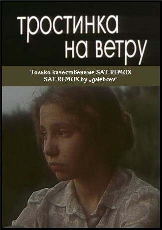 Тростинка на ветру (1980)